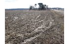 Property photo 21 - 127 Acres Offered in 4 Tracts